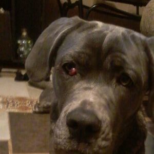 Meet your Posher, Vicky